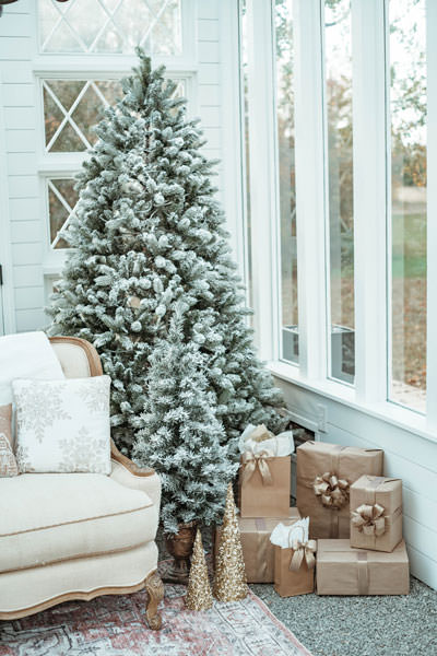 Winter photo set with Christmas trees and presents