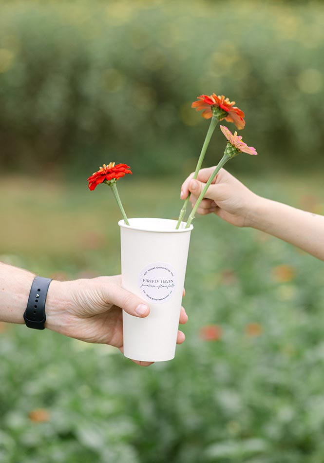 Cut Flowers being placed into a cup during a session at Firefly Haven. Photo taken by Ashley Logan Photography.