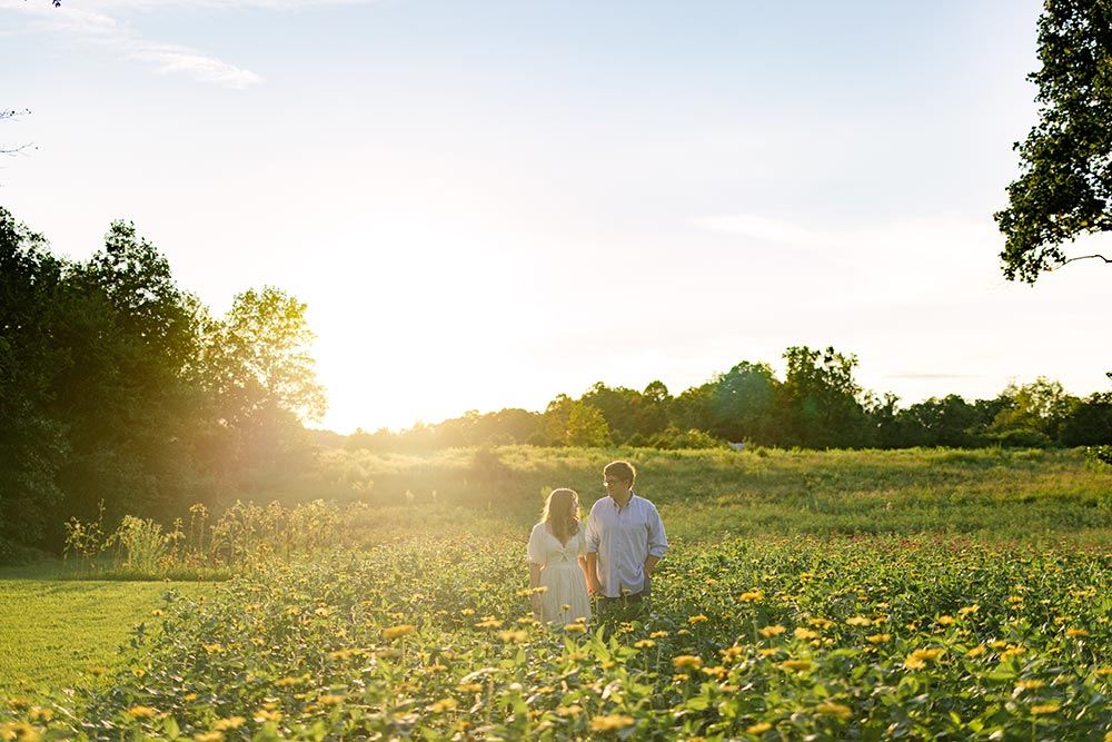 Engaged couple standing inside of the yellow zinnia field at Firefly Haven. Taken by Ashley Logan Photography.